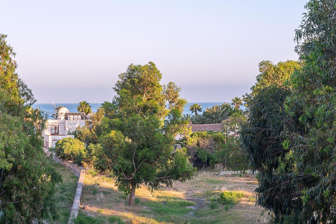 La Casa Del Alamo Villa Сан Хосе Екстериор снимка
